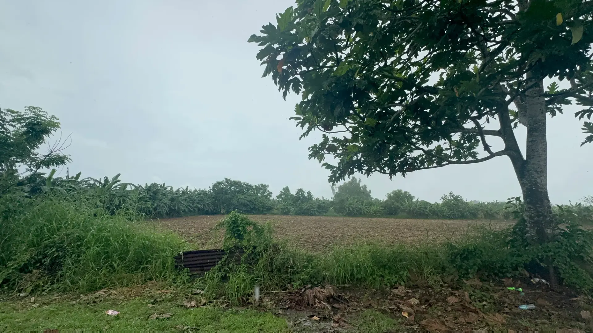 Alingaro, General Trias, photo 3