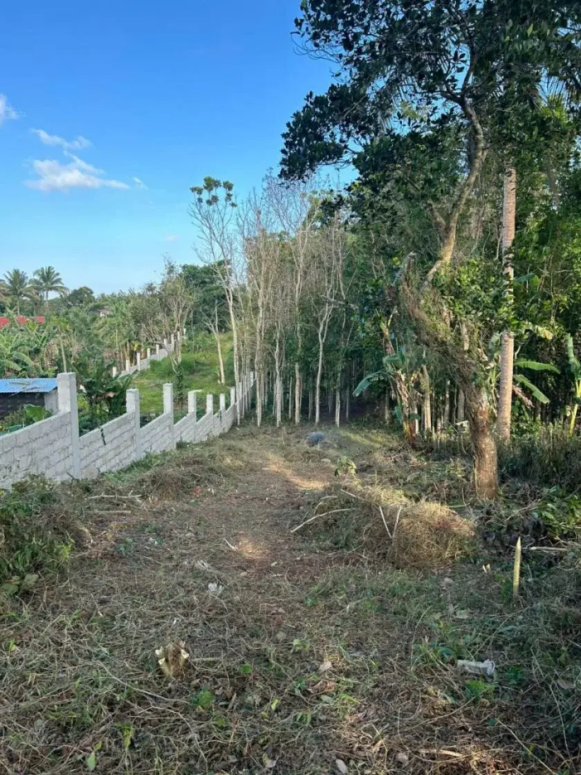 Commercial/residential Property In Amadeo Tagaytay