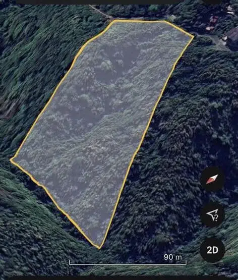 Mandala North Timberland Heights, photo 2