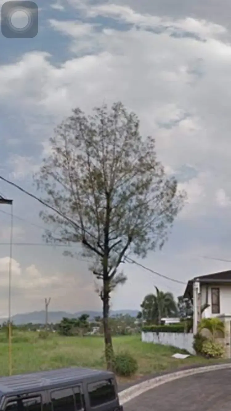 Vista Real Classica, photo 3