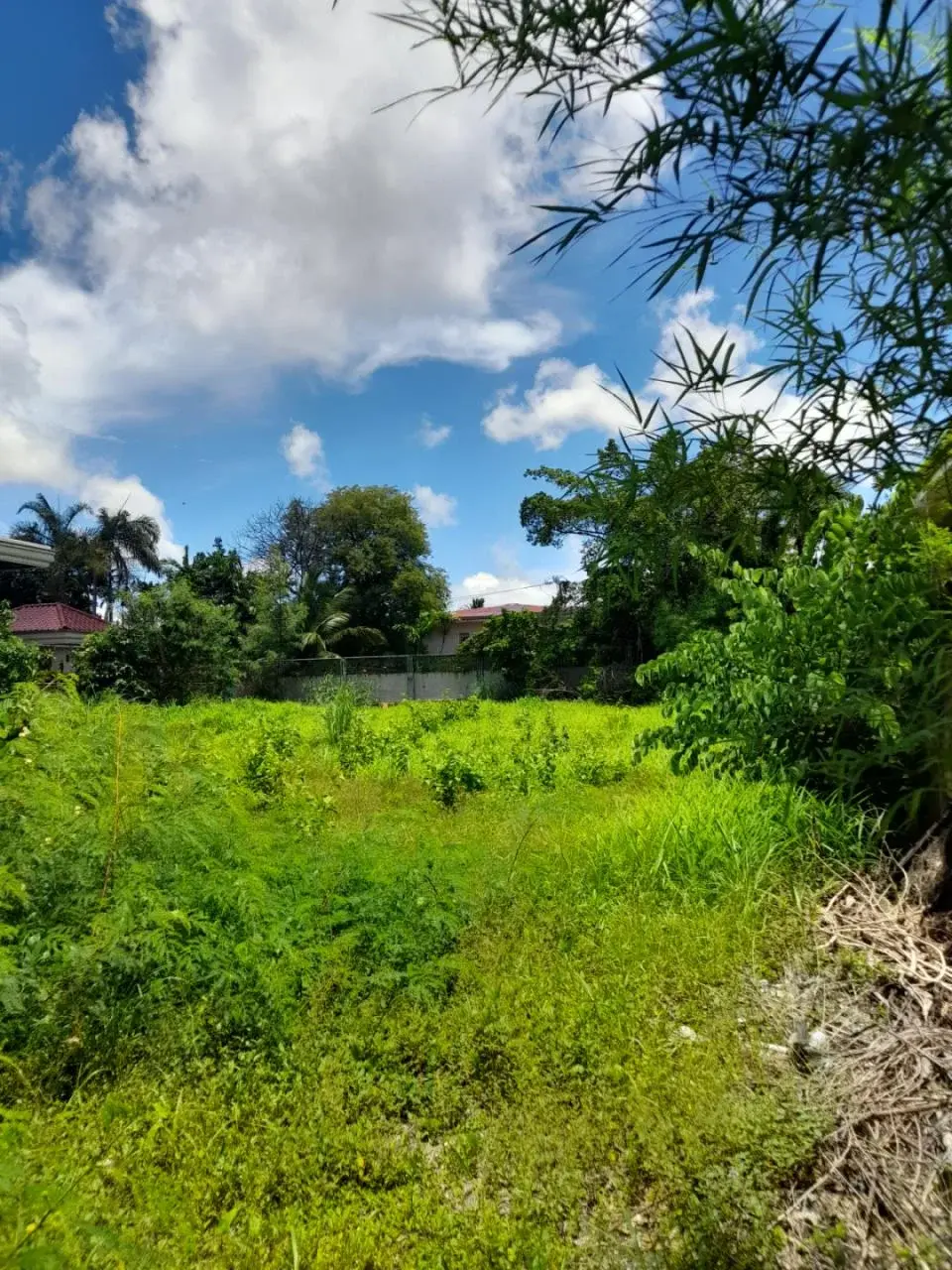 Dasmariñas Village, photo 3