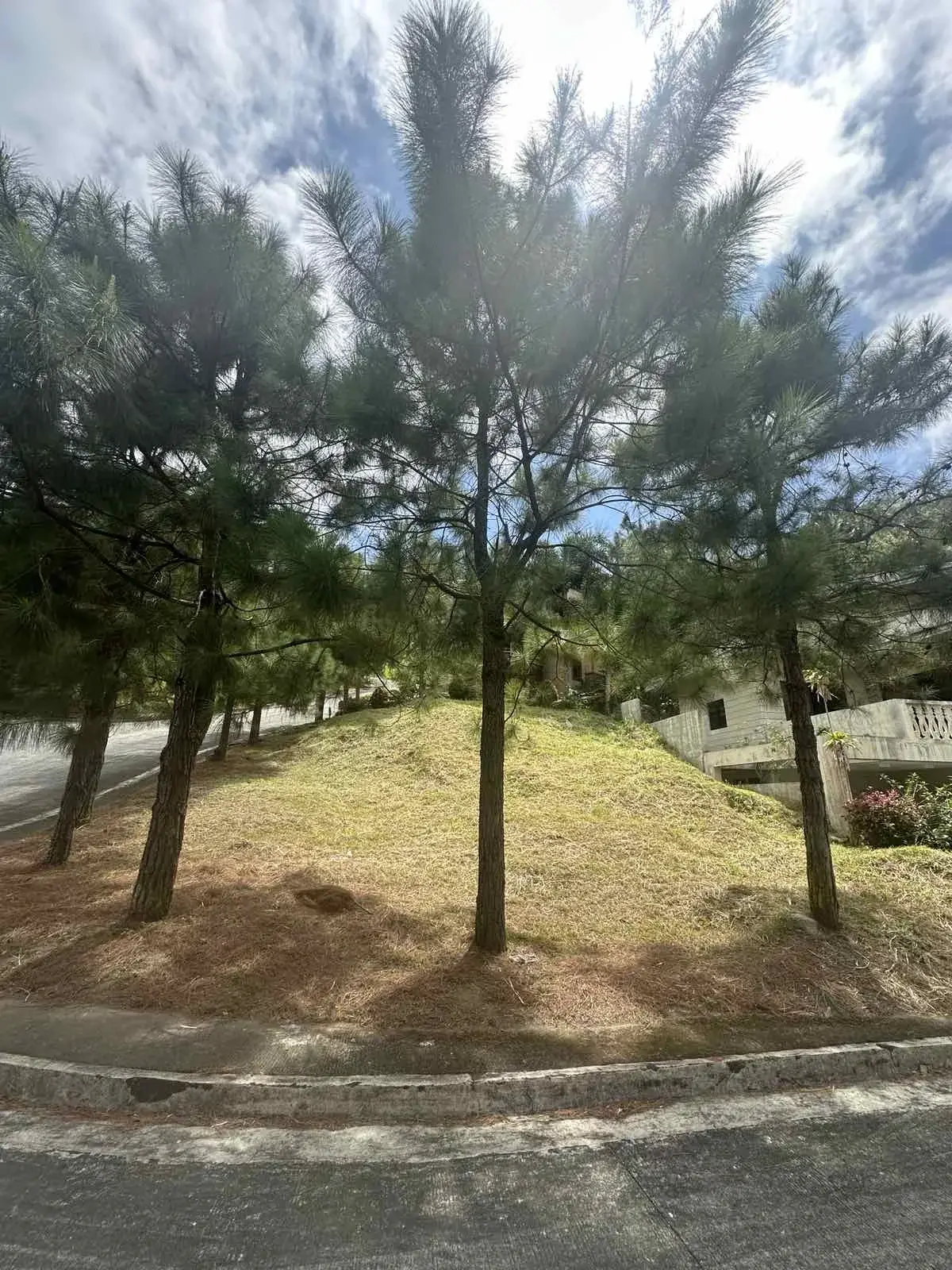 Crosswinds Tagaytay, photo 3