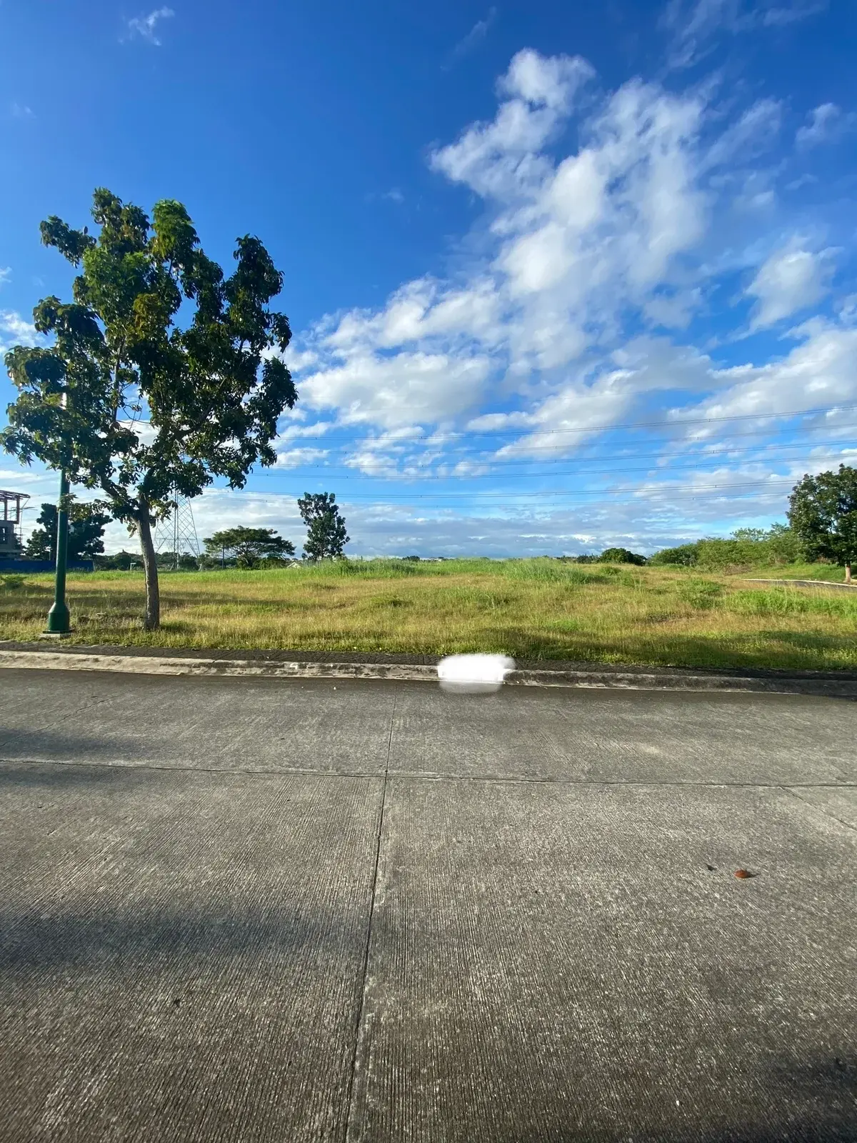 Manila Southwoods