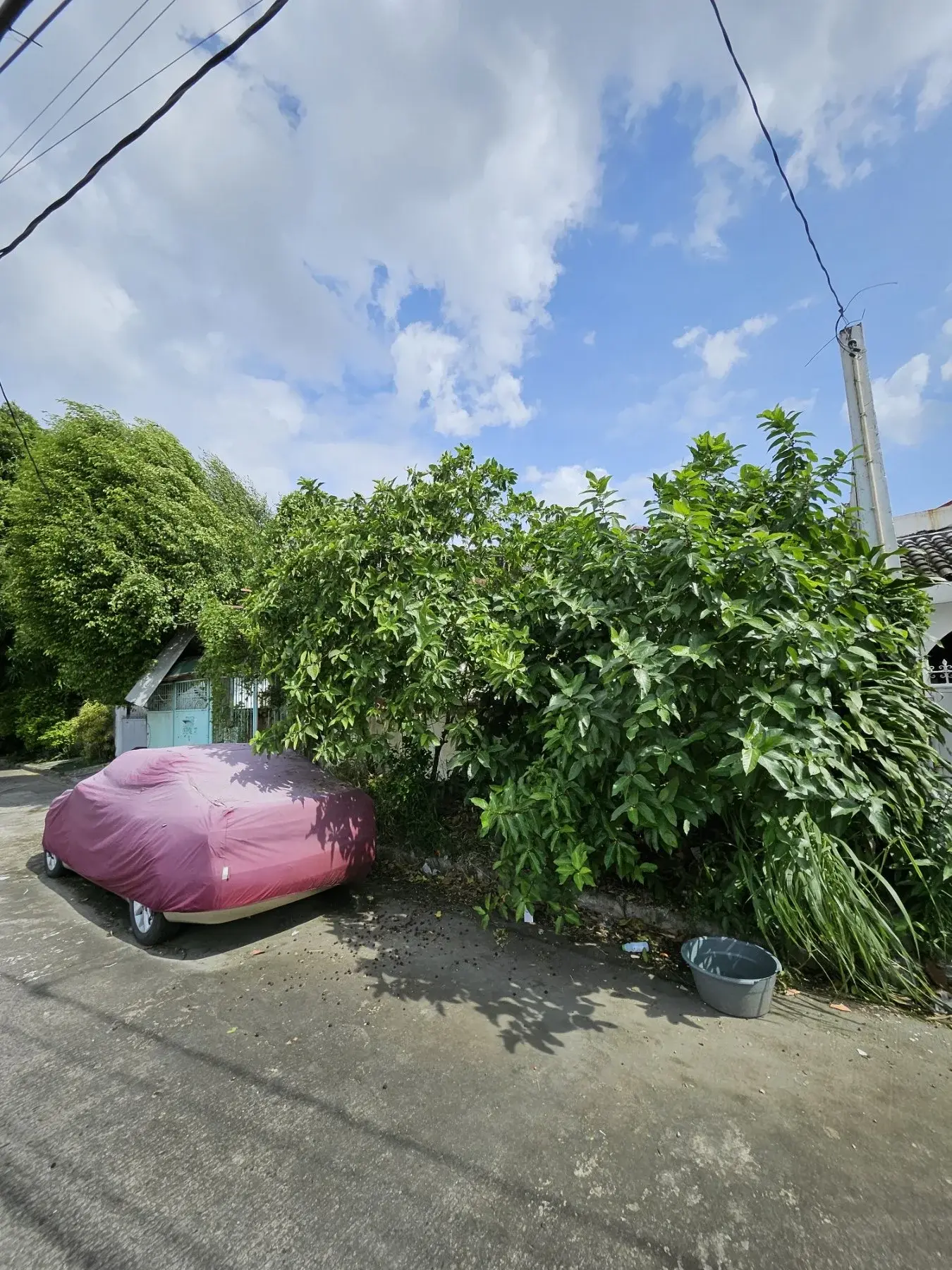 Multinational Village, photo 3