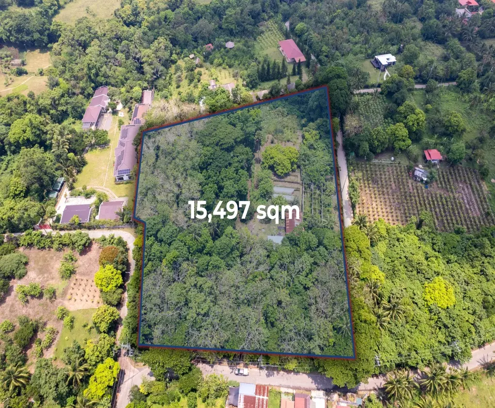 Farm Lot Tagaytay Alfonso - Cavite