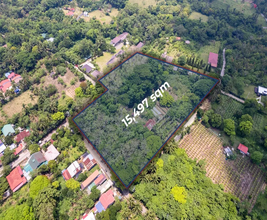 Farm Lot Tagaytay Alfonso - Cavite, photo 3