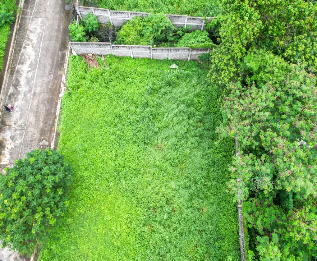 Alabang West, photo 3