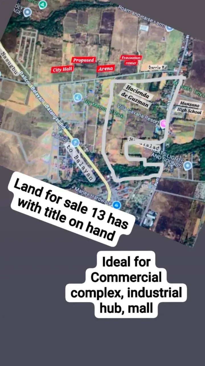 Sugar Cane Land