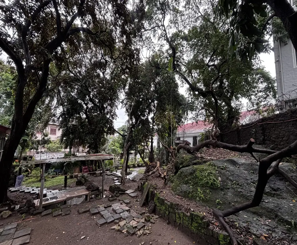 New Manila, photo 2