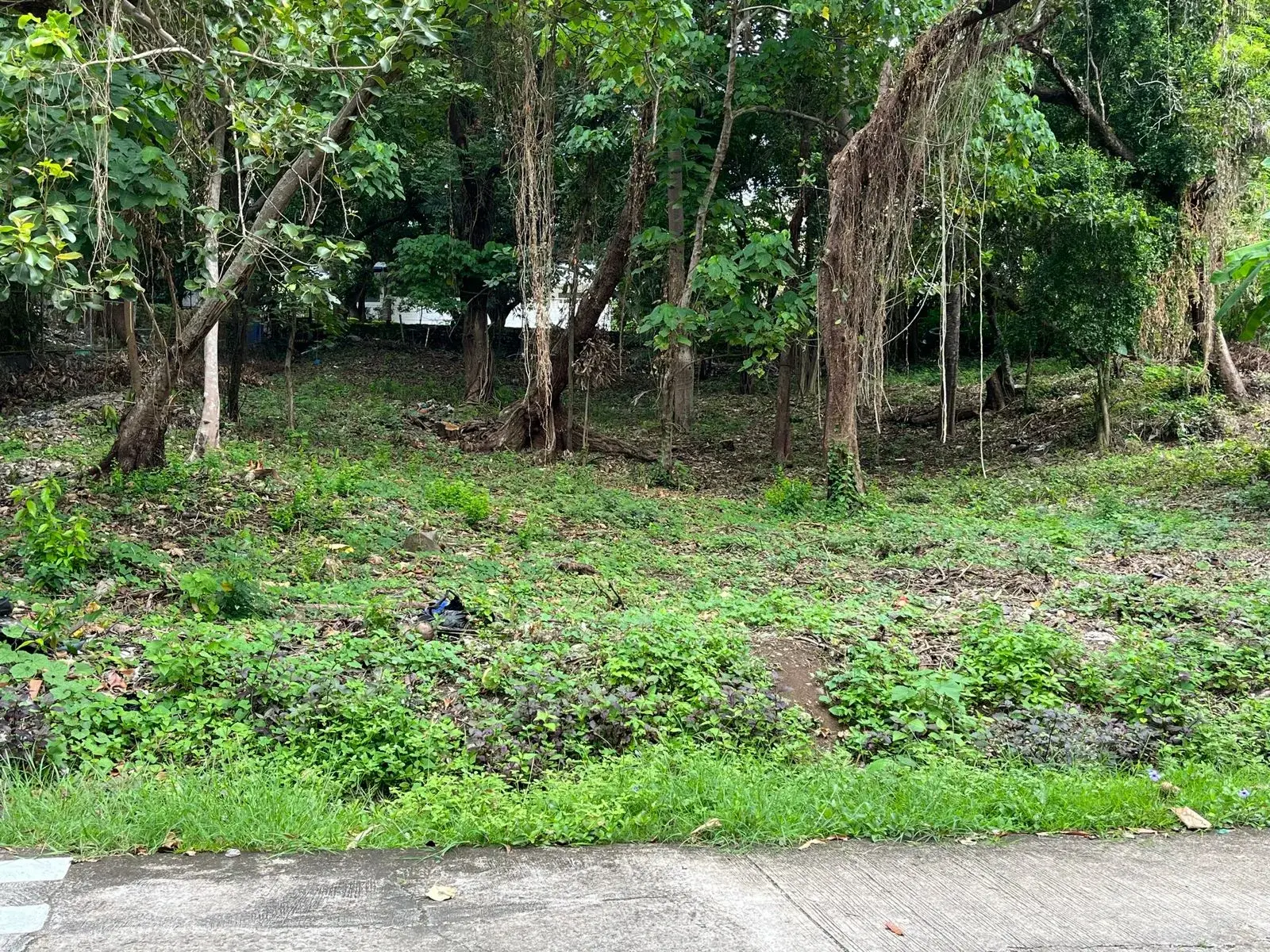 Tali Beach - Lot For Sale In Batangas, photo 2