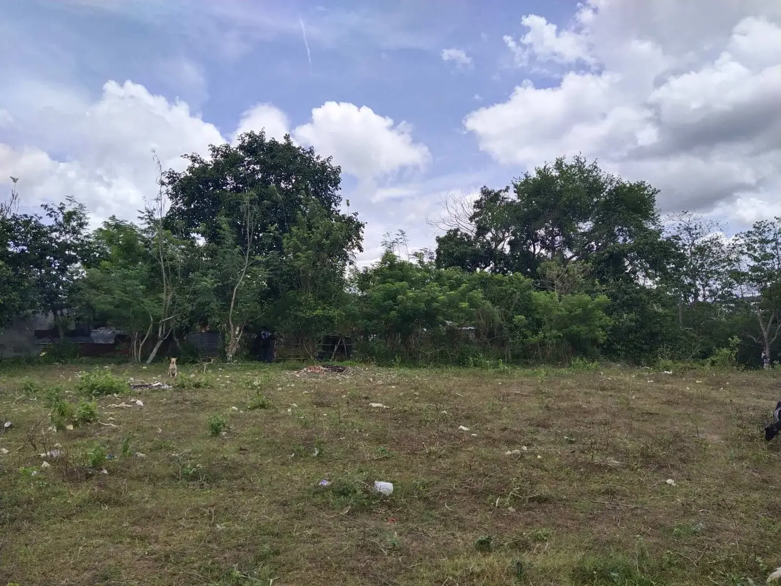Silang Cadastre, photo 3