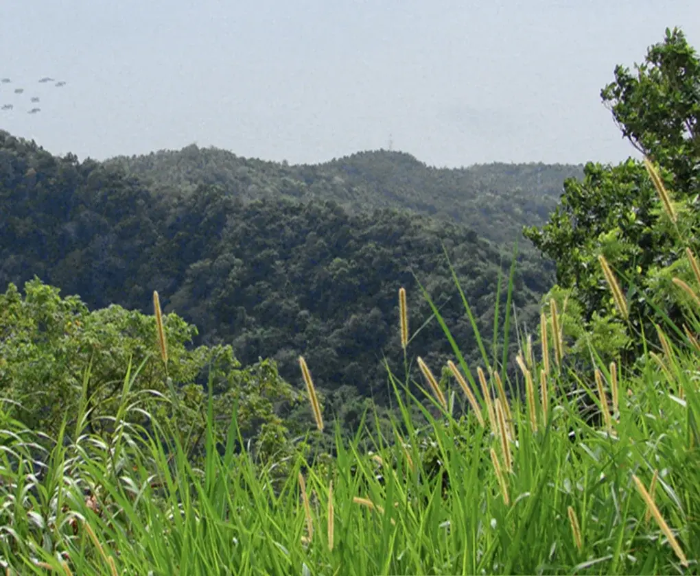 Batangas