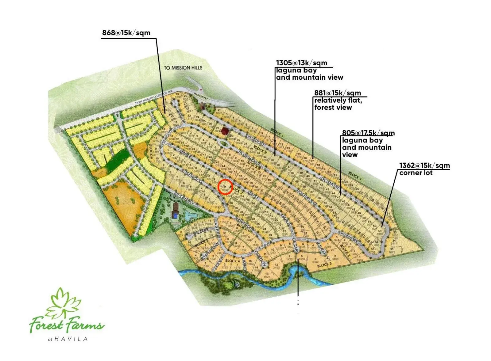 Forest Farms At Havila - Angono Rizal, photo 3