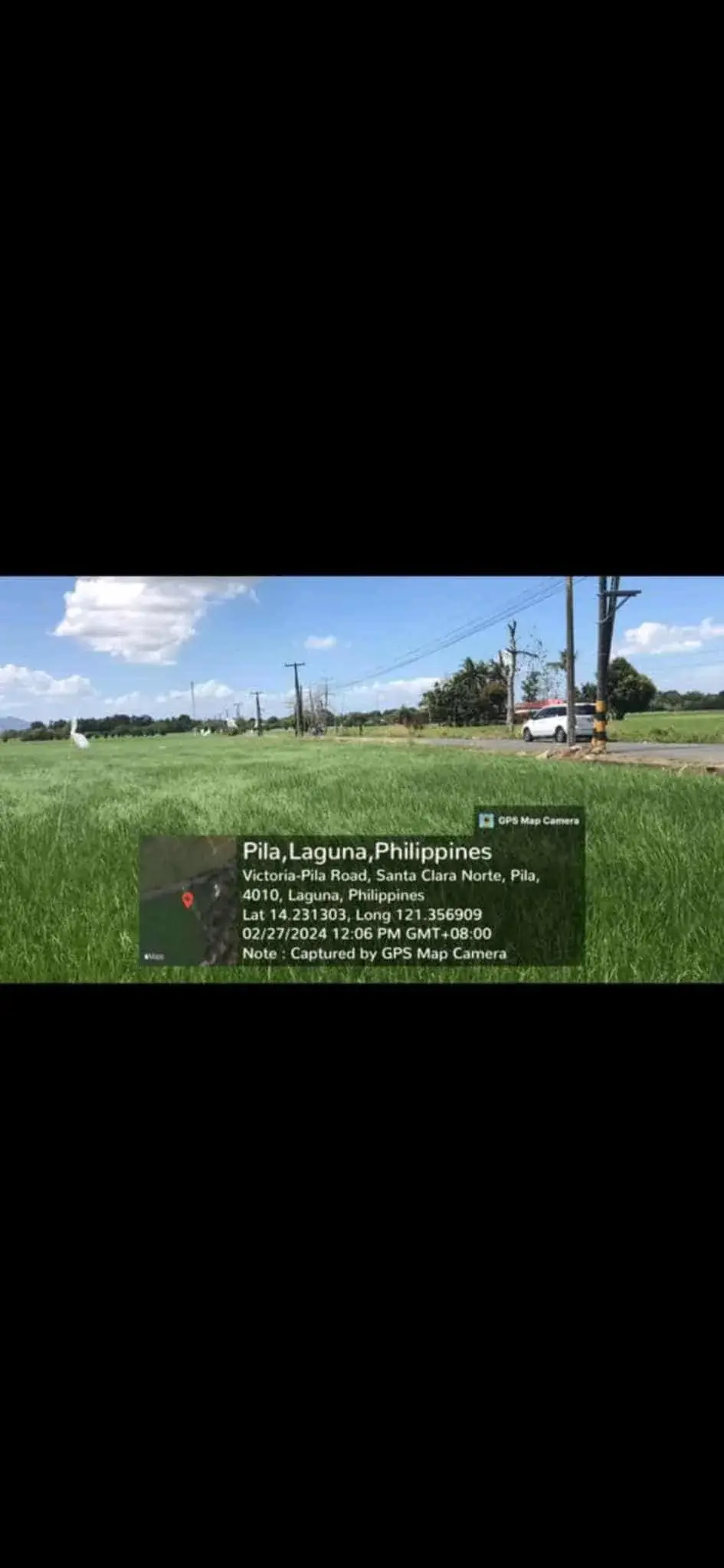 Rice Field In Pila, Laguna, photo 2