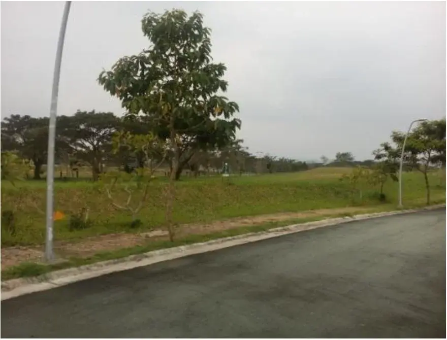 Elaro Laguna, photo 3