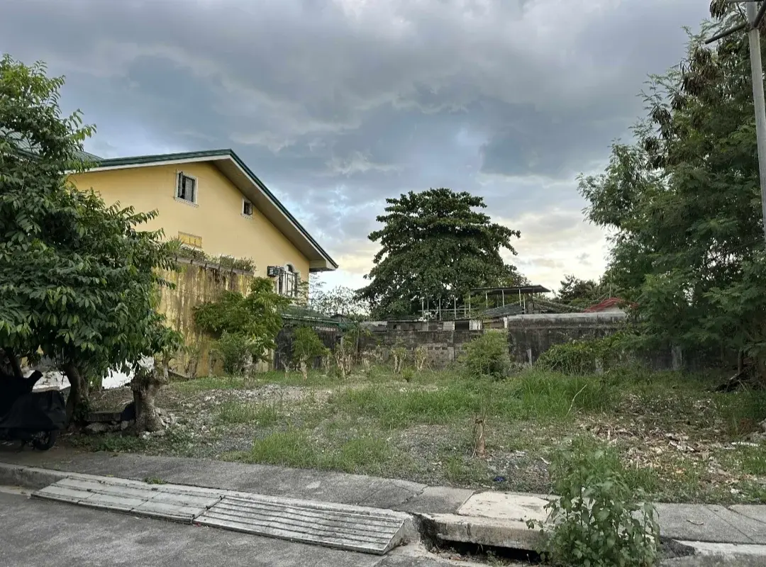 Vista Real Classica, photo 2