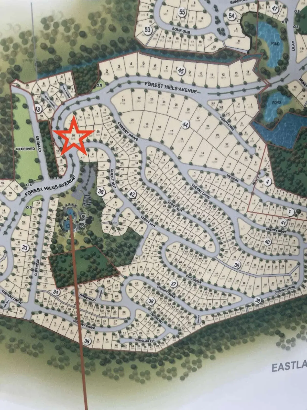 Forest Hills Golf & Country Club