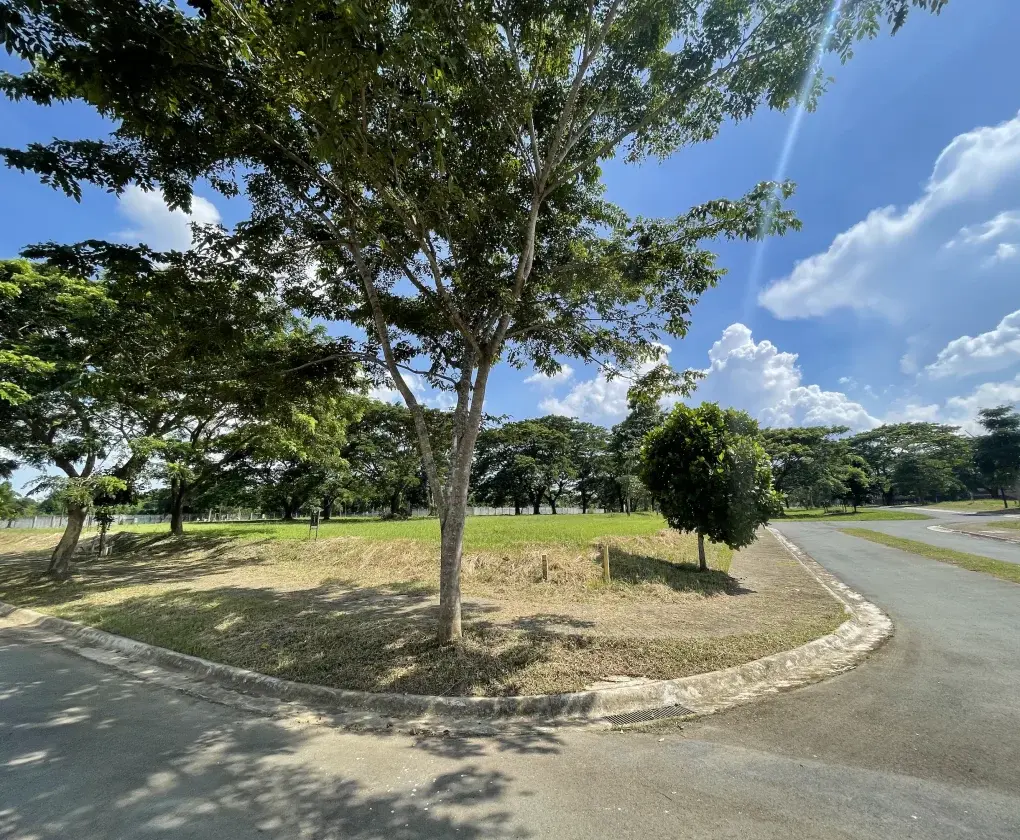 Soliento Nuvali, photo 3