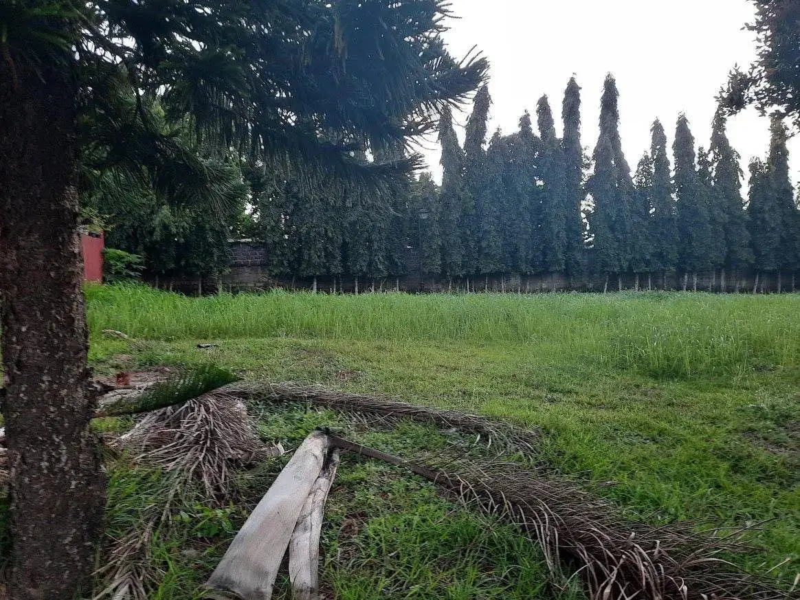 Vista City, photo 2