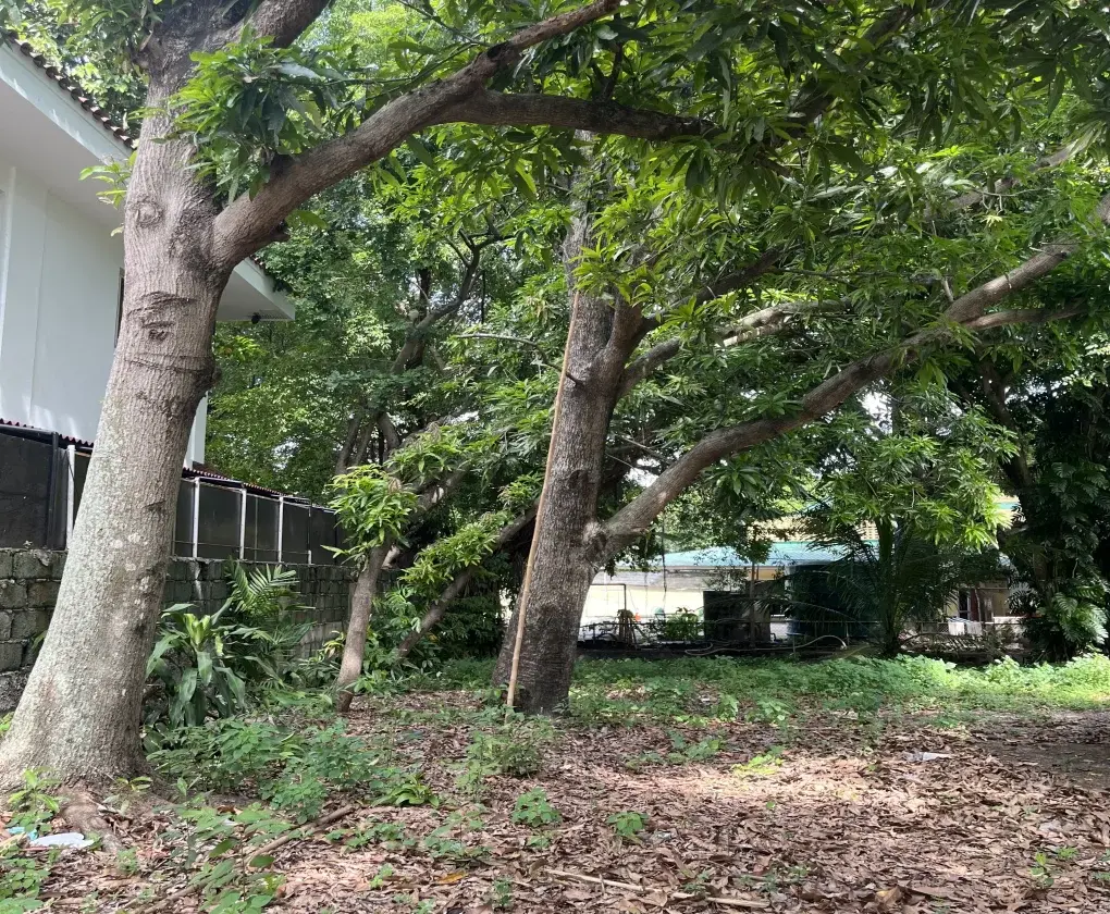 Ayala Alabang Village, photo 2