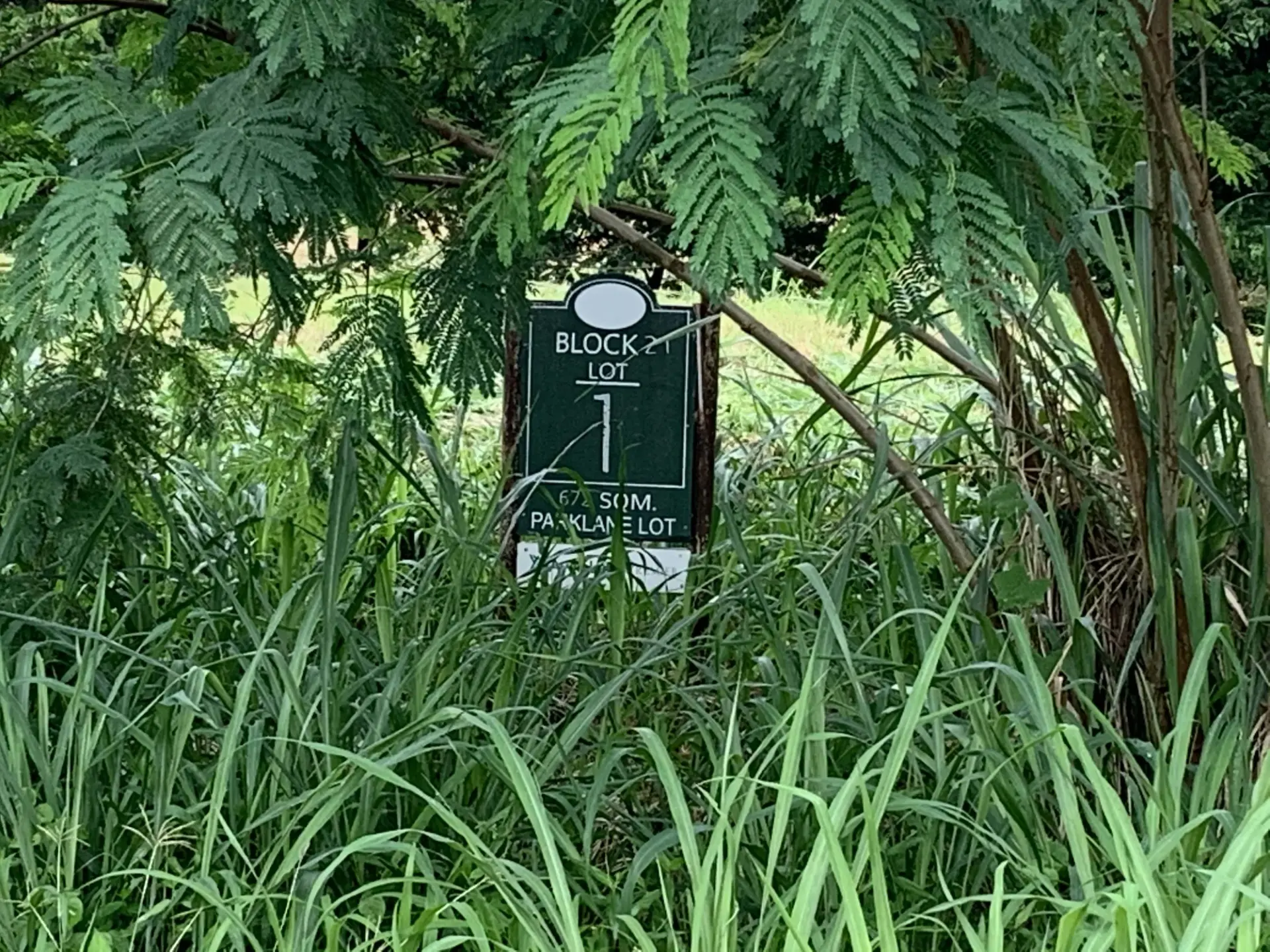 Elaro Nuvali, photo 3