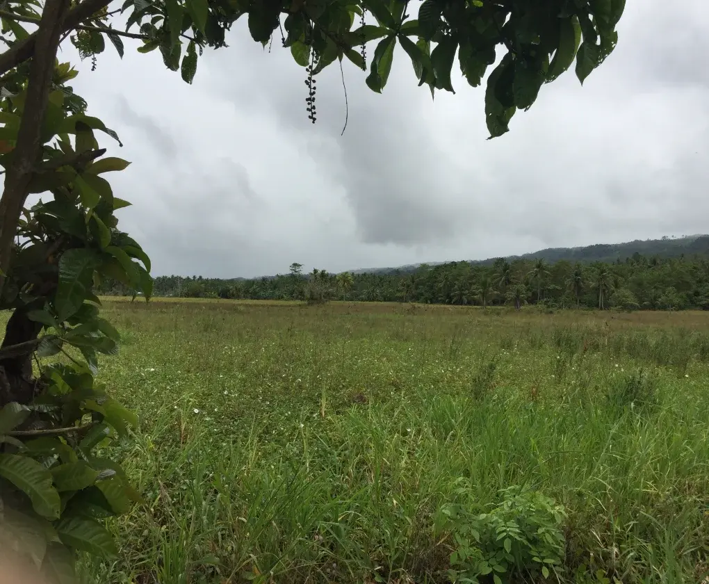 San Jose, New Corella, Davao Del Norte, photo 3