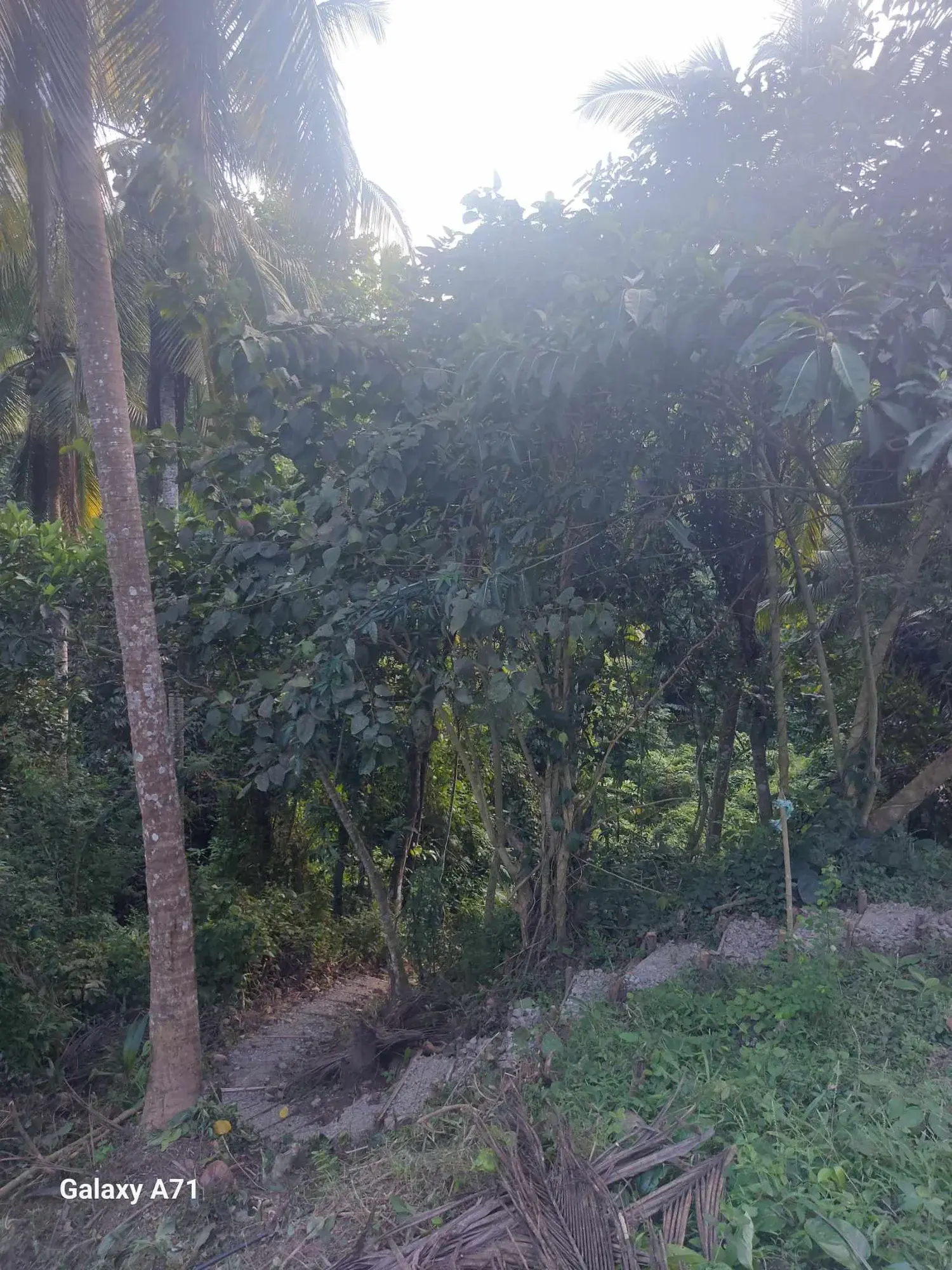 Rosario, Batangas