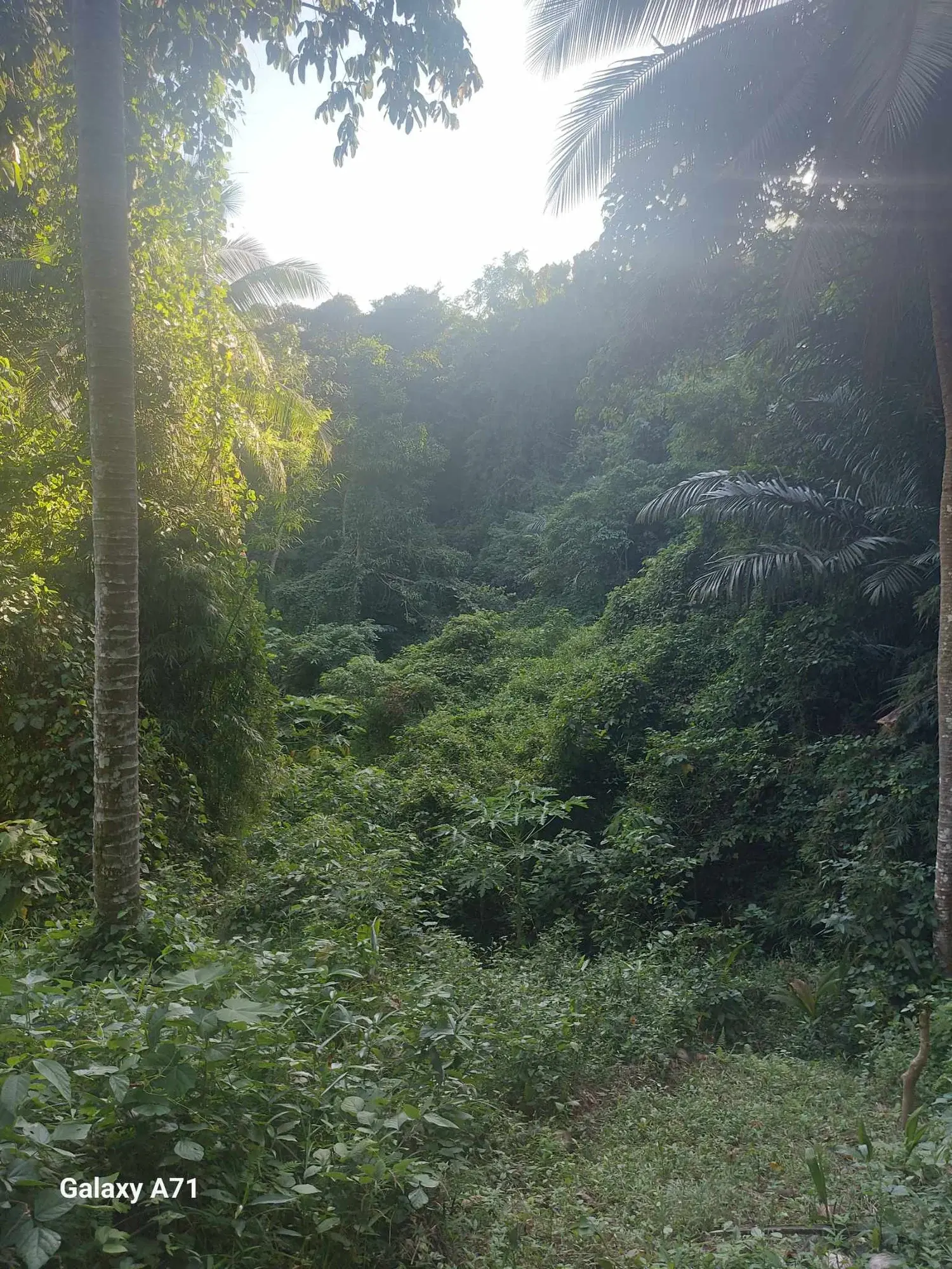 Rosario, Batangas, photo 3