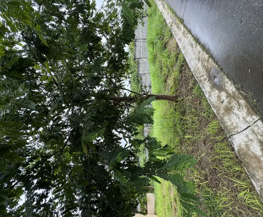 Portofino Heights Daang Hari Las Pinas, photo 3