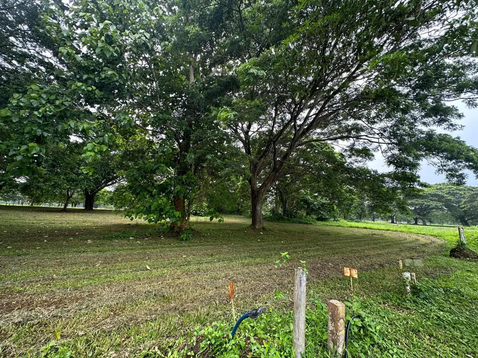 Soliento Nuvali, photo 3