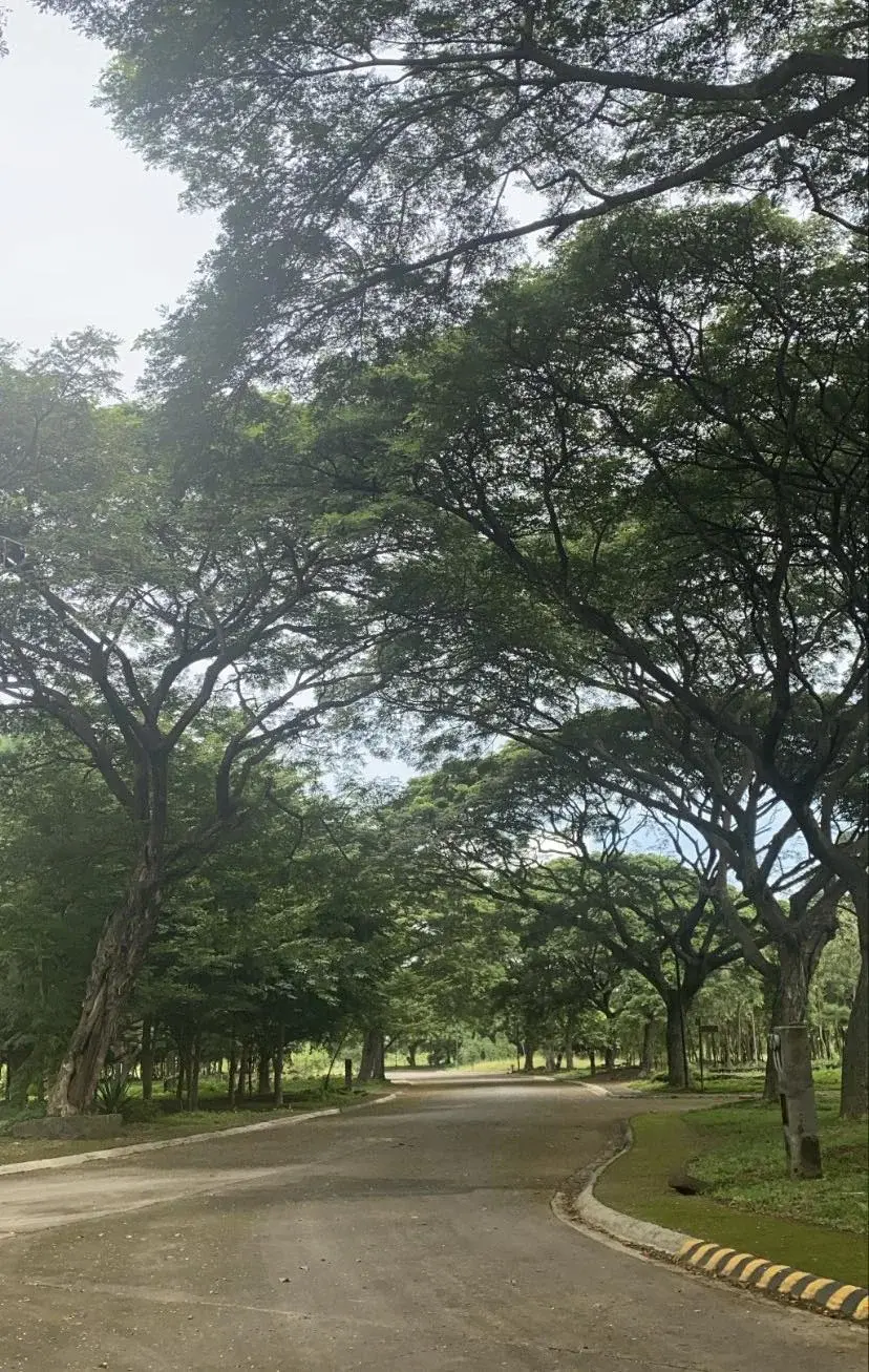 Promenade Village, photo 3