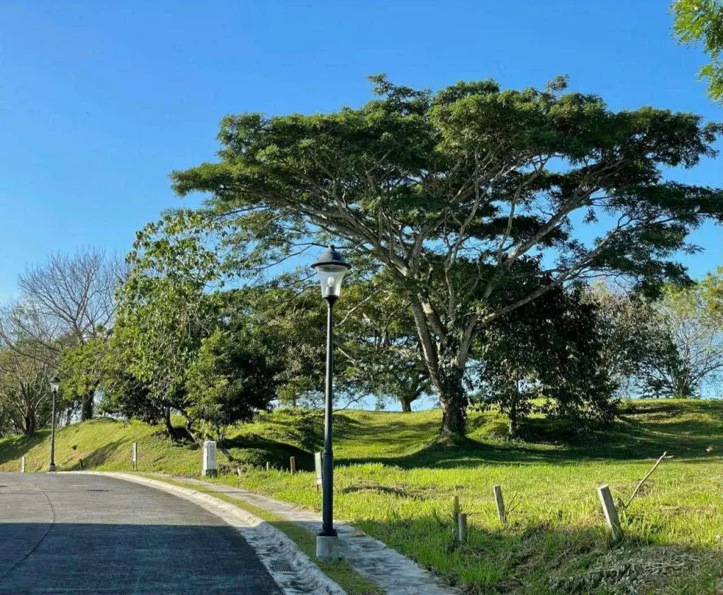 Ayala Westgrove