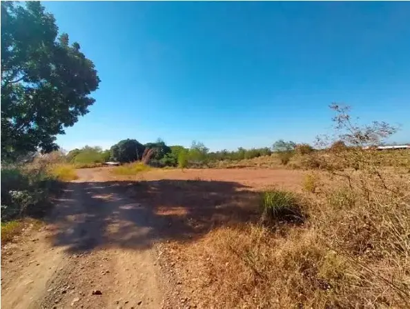 Lupao Nueva Ecija Lot