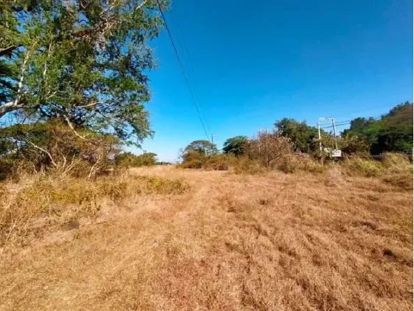 Lupao Nueva Ecija Lot, photo 3