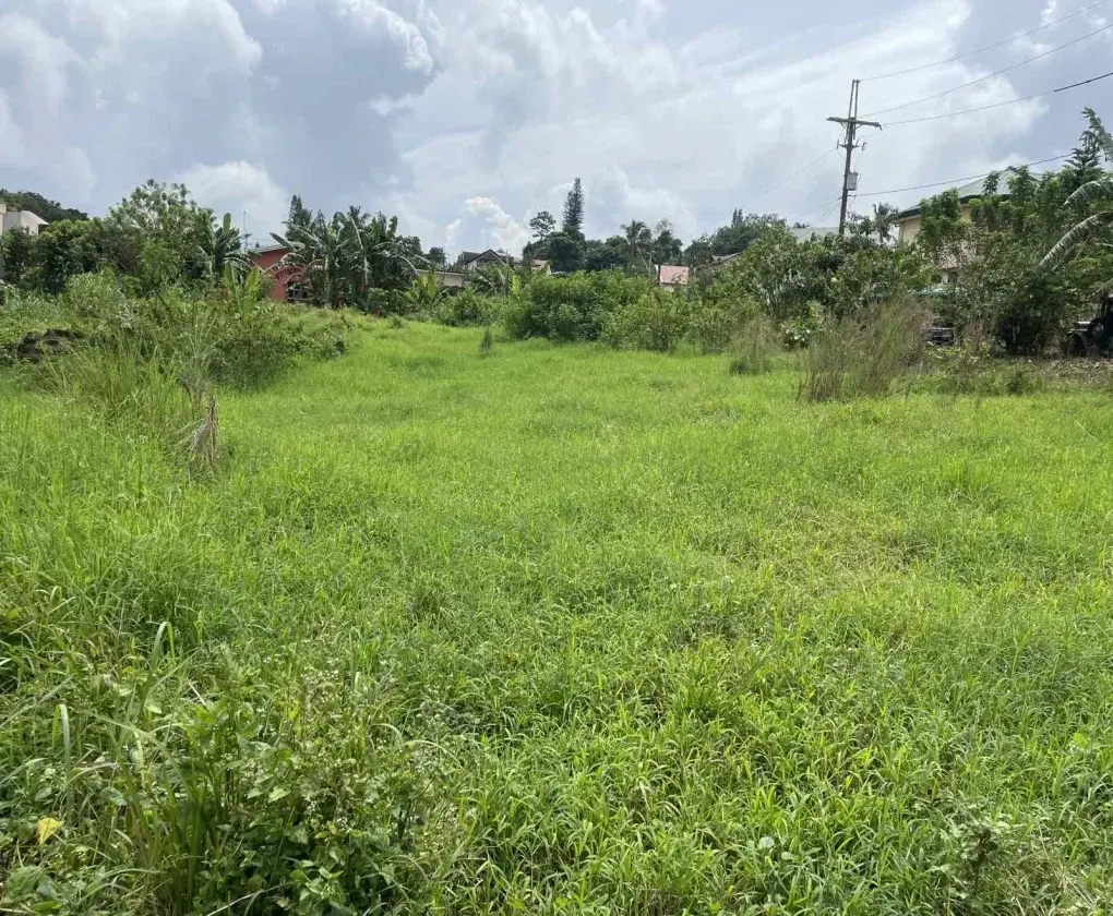 Filipinas Farm Iii