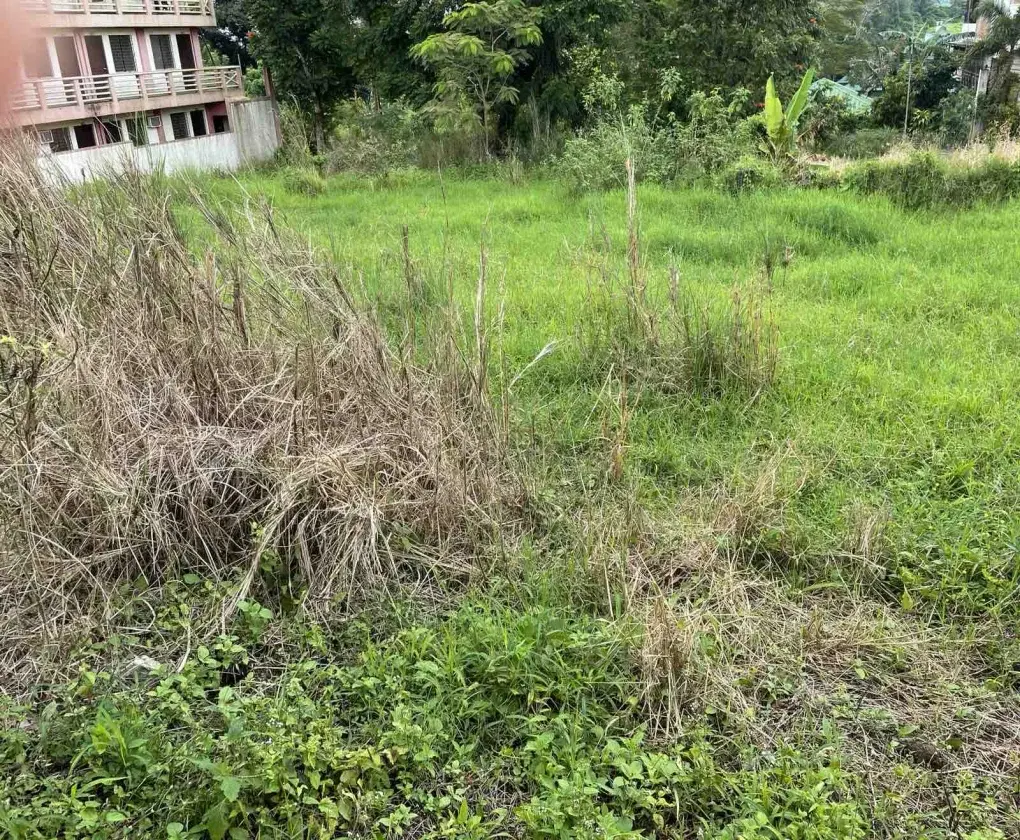 Filipinas Farm Iii, photo 3